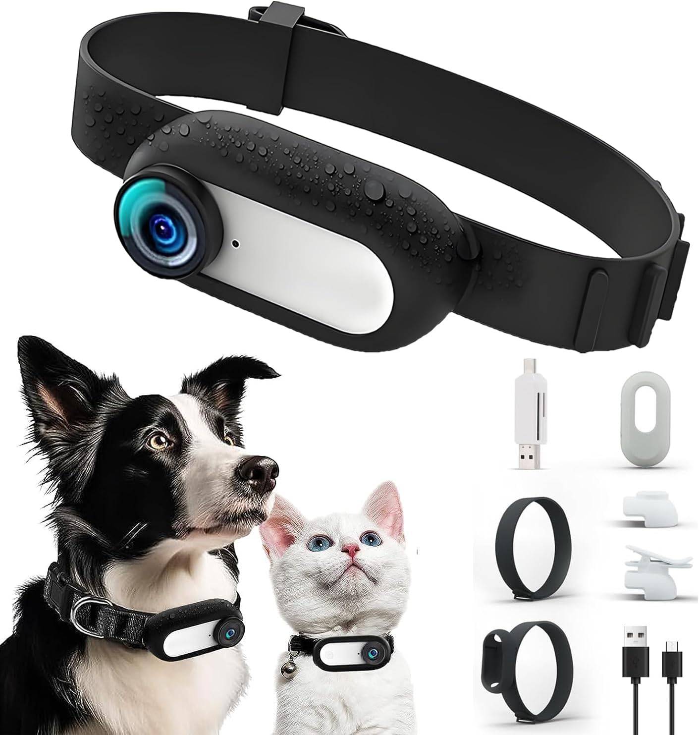 Collier de caméra de sport pour chat et chien MCBOSON - Image 1