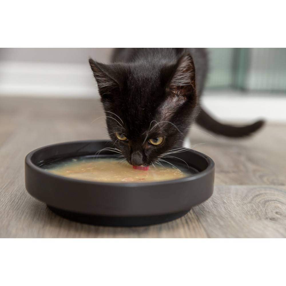 Trixie - Soupe au poulet et au saumon 4 x 80 g pour chat - Image 2