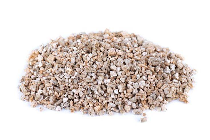 Vermiculite Pour Plante - Qualité Horticole - 10L - Image 2