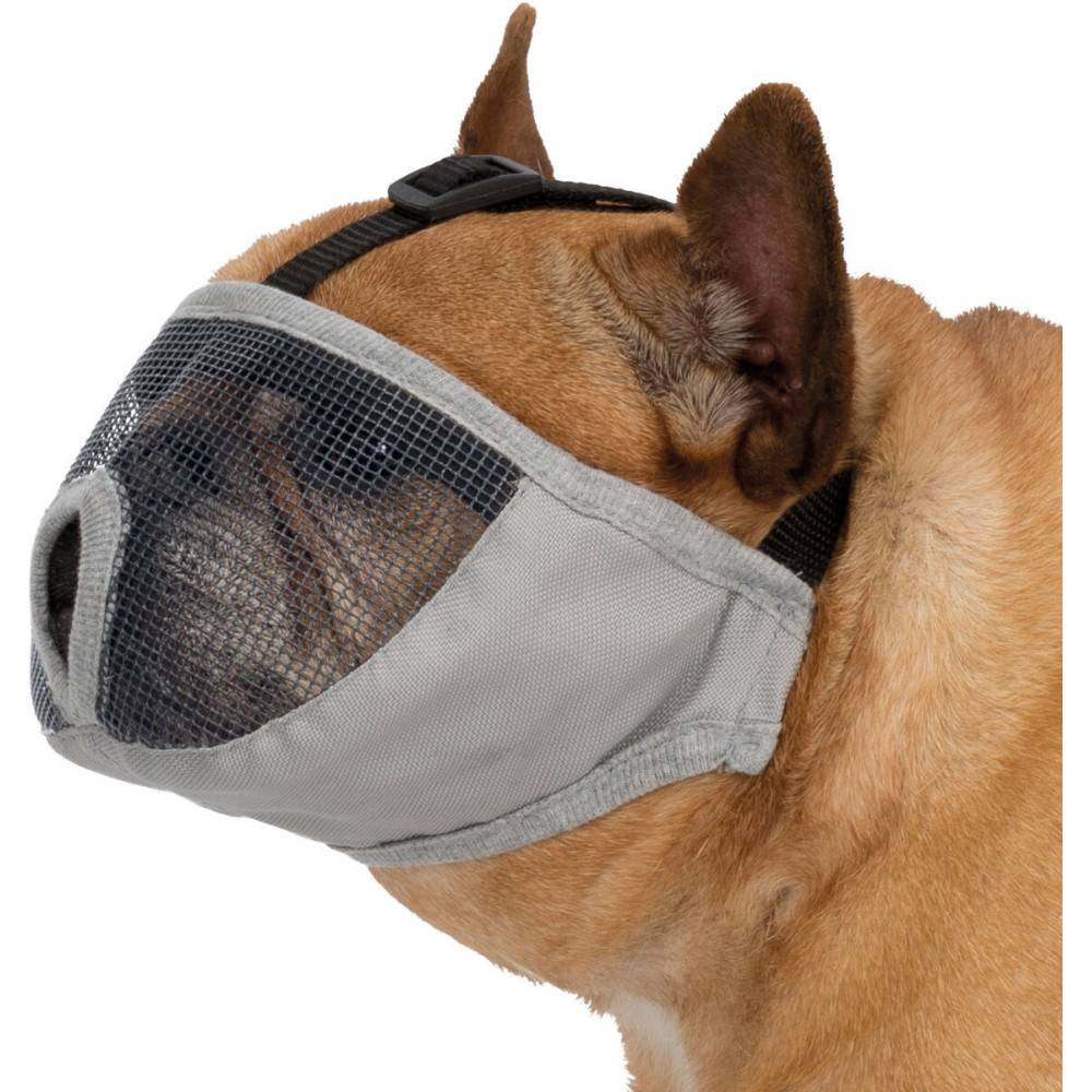 Muselière pour les races de chien à nez court Taille M - Image 1