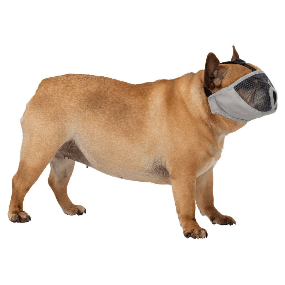 Muselière pour les races de chien à nez court Taille M - Image 2