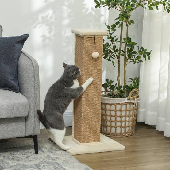 Poteau Griffoir Haut pour Chat 81 cm en Jute avec Balle de Jeu et Base Stable Beige - ComfortXL Outdoor Living - Image 4