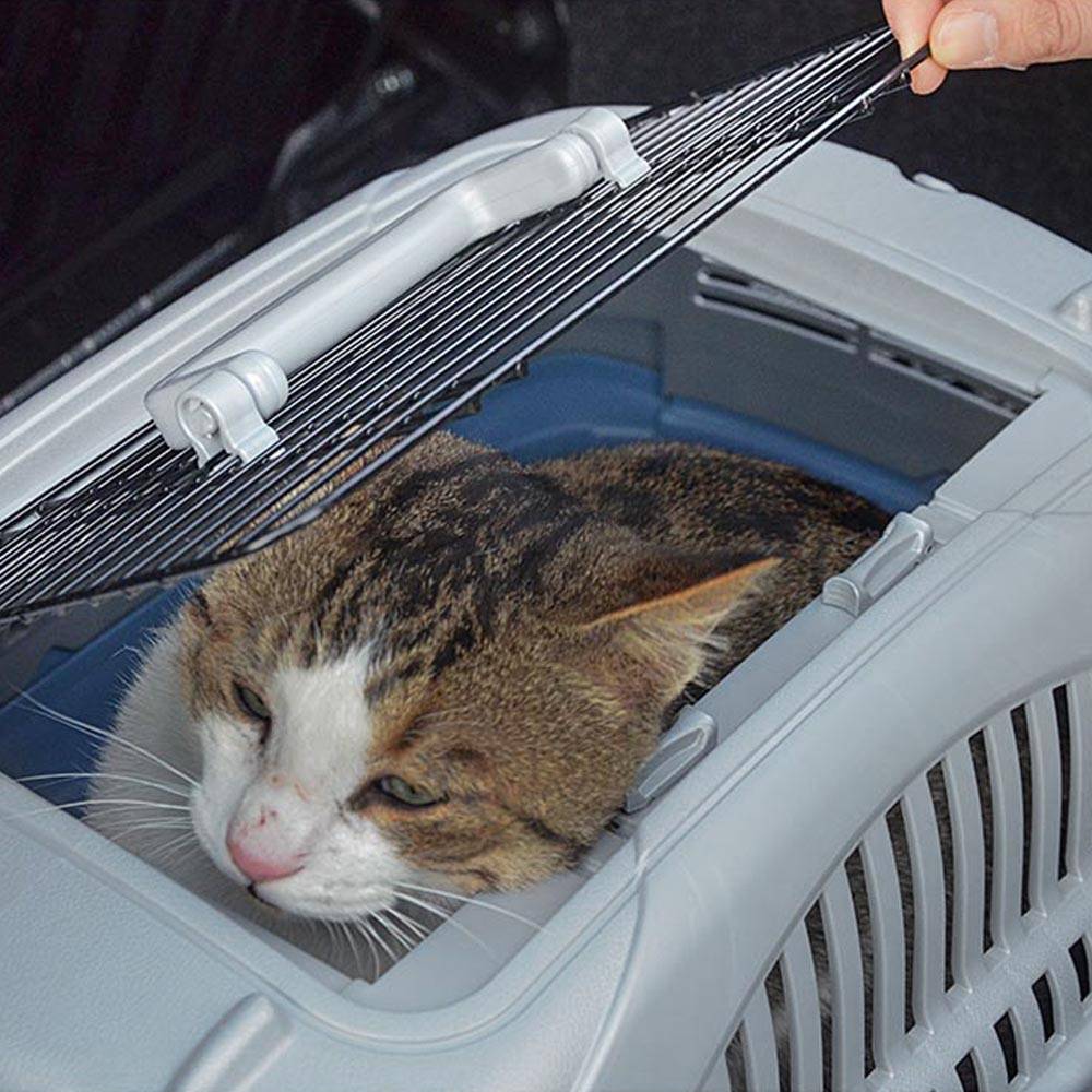 Ferplast - Panier de transport chiens chats voyage toit ouvrant Ferplast ATLAS DELUXE OPEN - Image 7
