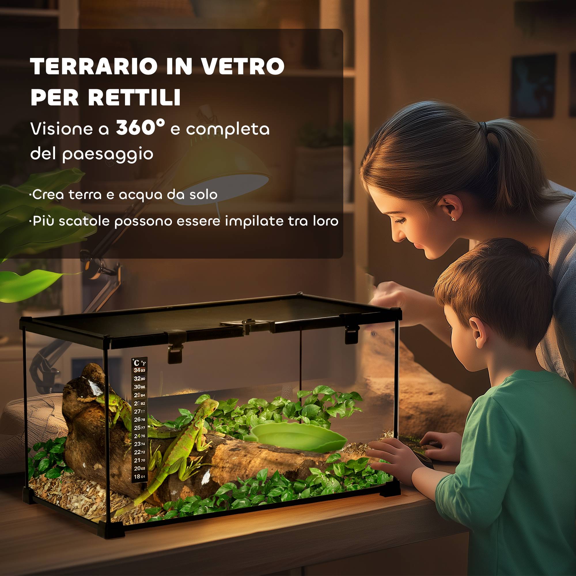 Vivarium reptile surélevé 50×30×25cm noir, verre et grillage, serrure, thermomètre - Image 6