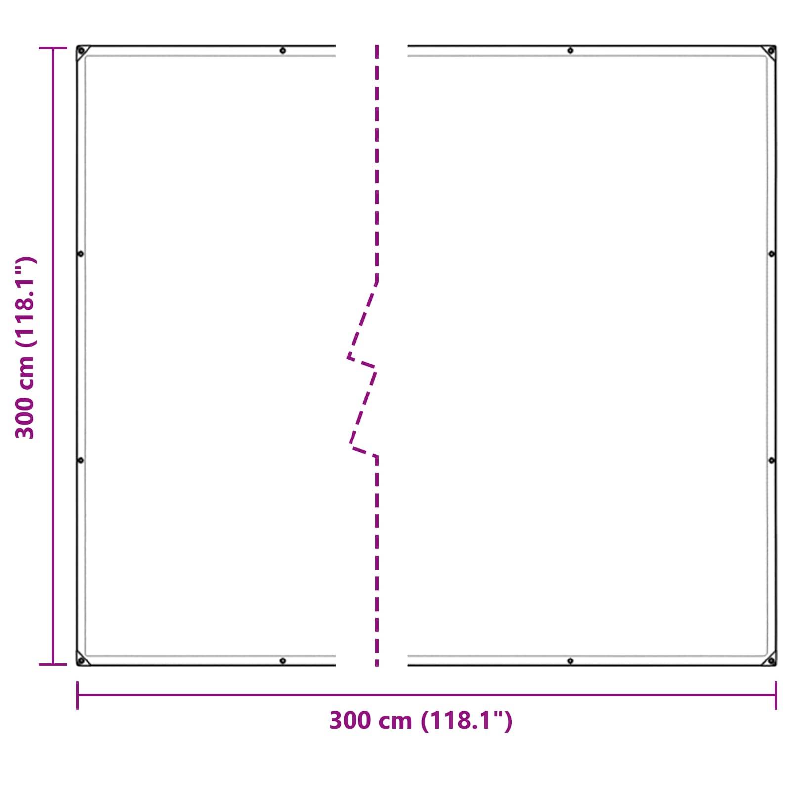 Vidaxl - Couverture pour plantes Transparent 3 x 3 m PE vidaXL 3429274 - Image 3