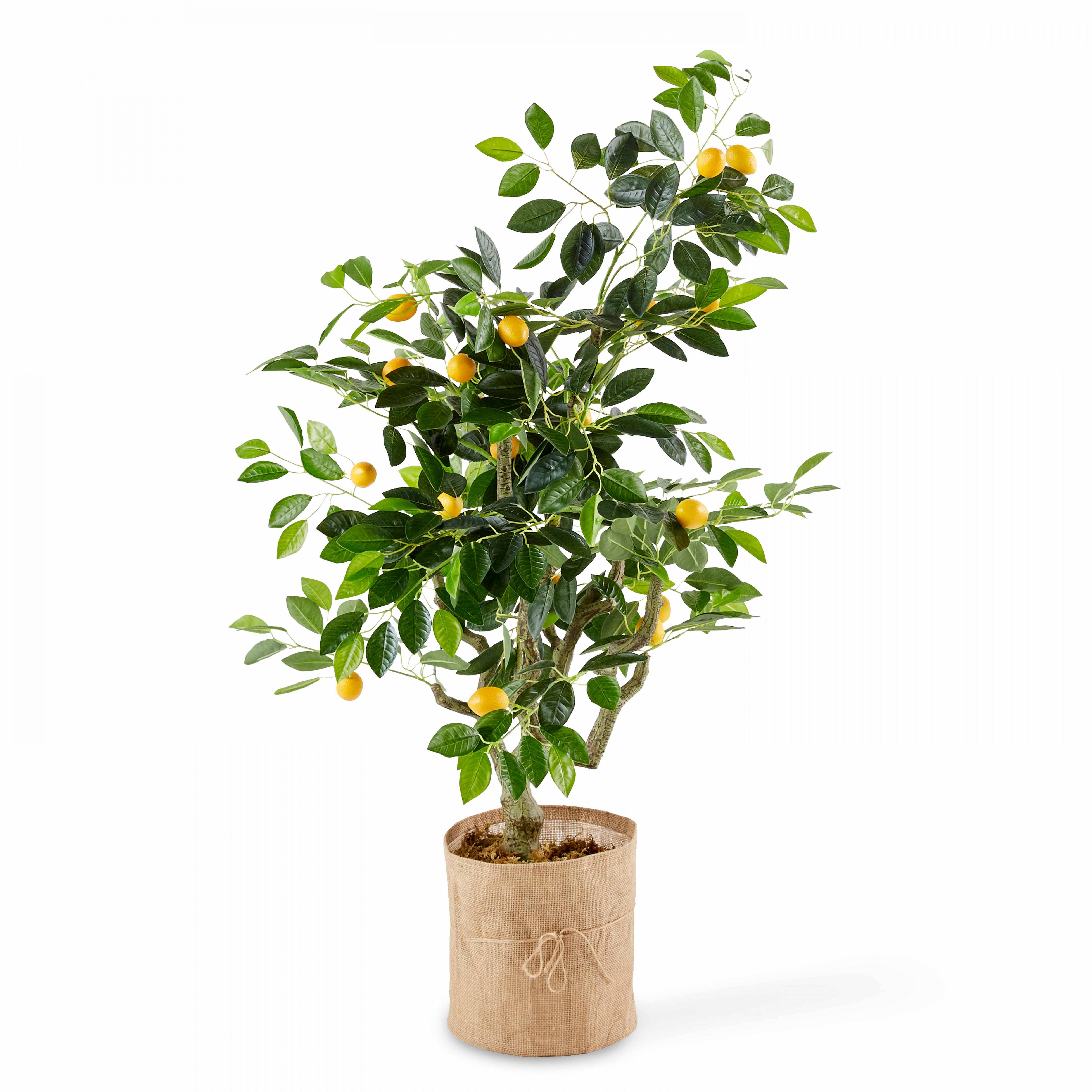 Oviala - Citronnier artificiel - Oviala - Image 1