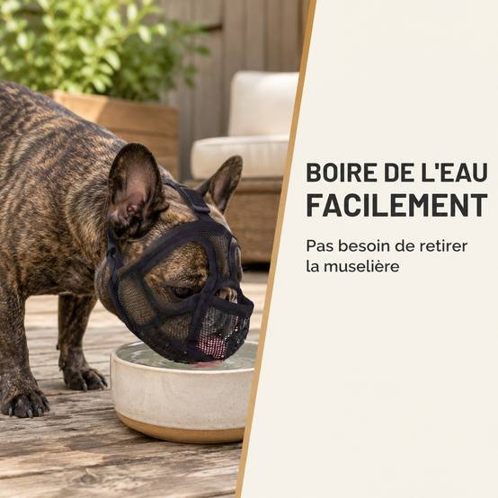 Muselière pour Bouledogues à museau court Respirante Confortable Anti Mordaison - Image 6