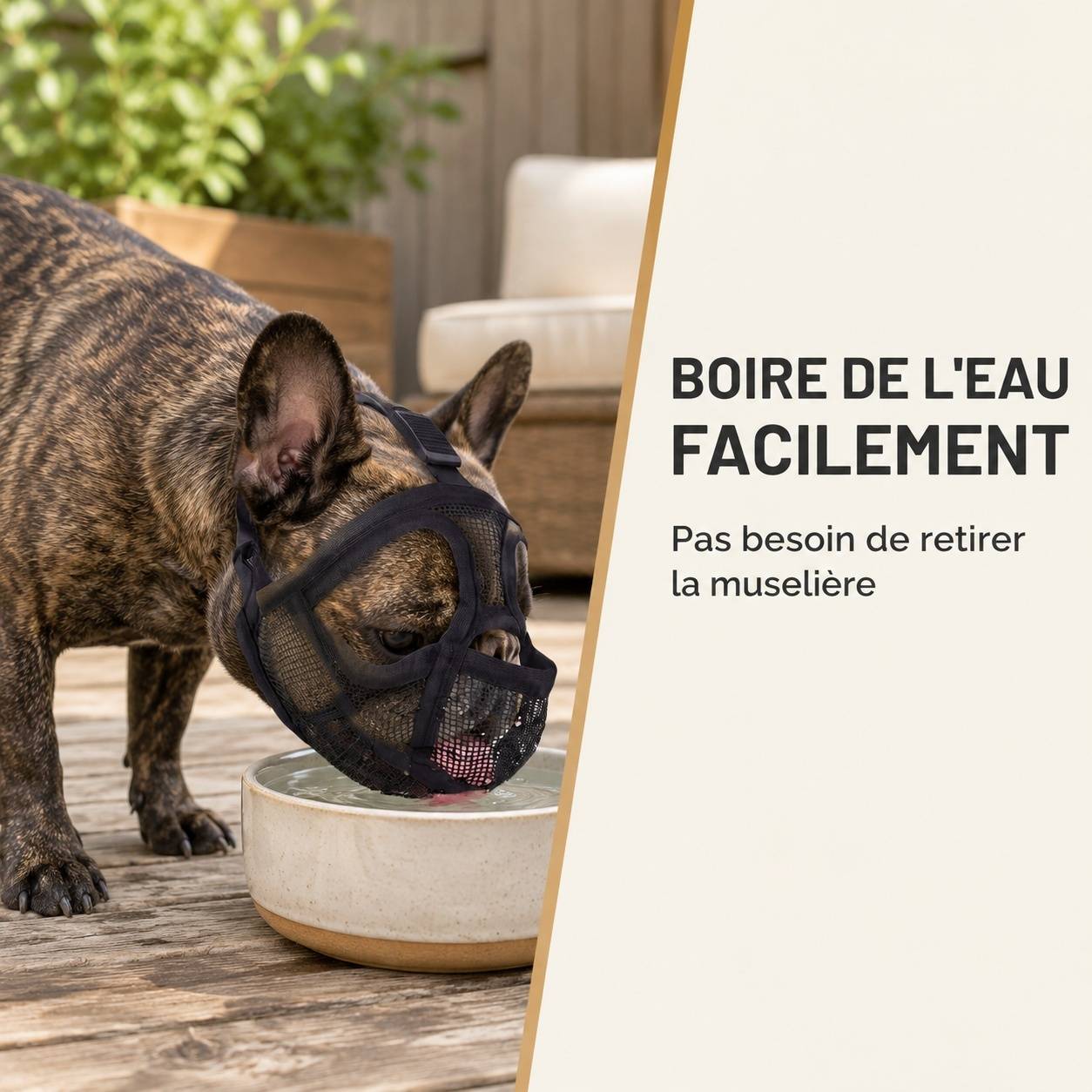Muselière pour Bouledogues à museau court Respirante Confortable Anti Mordaison - Image 6