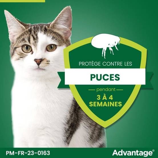 Advantage - Pipettes antipuces pour chat et lapin 1 à 4 kg, 6 x 0,4 ml - ADVANTAGE - Image 4