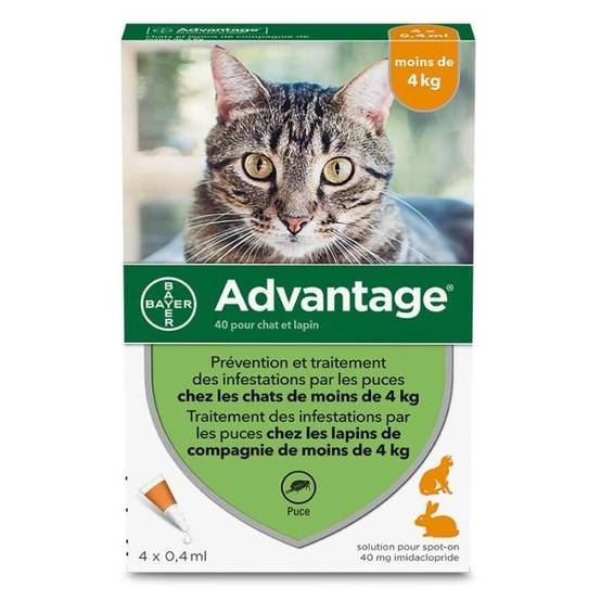 Bayer - PIPETTES ANTIPARASITAIRE CHAT / LAPIN ADVANTAGE 40 (0-4 kg) - BAYER 6 pipettes