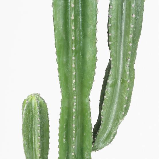 Ligne Deco - Cactus artificiel grande taille 155cm - Image 3
