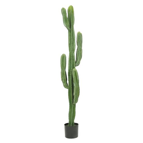 Ligne Deco - Cactus artificiel grande taille 155cm - Image 1