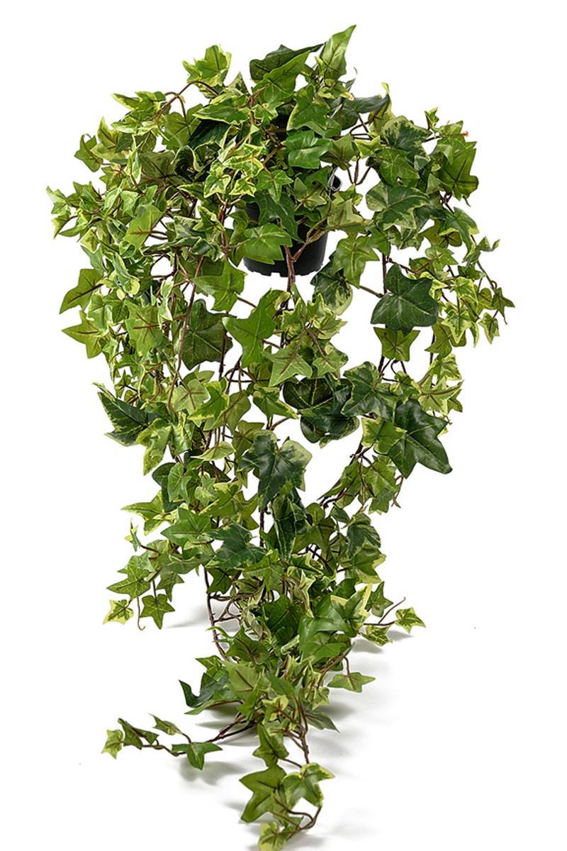 Lierre retombant artificiel panaché en pot, L 85 cm, D 32 cm - Image 1