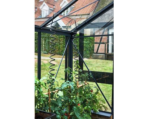 Juliana - Tuteurs spirales pour plantes grimpantes - Lot de 3 - Image 3