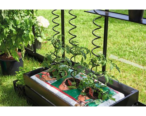 WERKA PRO - Lot De 5 Tuteurs Spirales En Acier Vert - Hauteur 1.8m, Diamètre 6mm - Pour Plantes Grimpantes (tomates, Rosiers...) Support Tomates Rosiers Jardin Durable