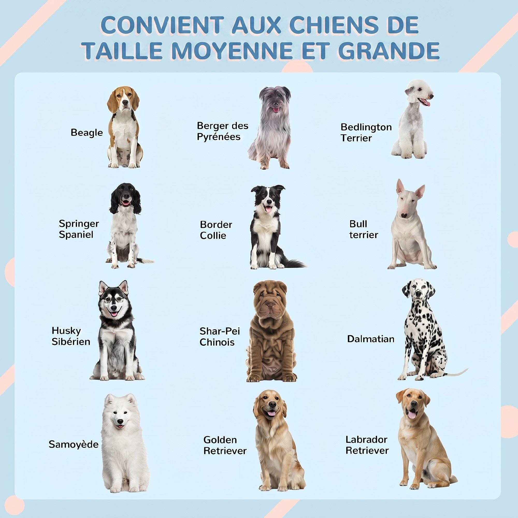 ComfortXL - Niche chien extérieur PP gris 84,2 x 98,2 x 82 cm pour chiens moyens et grands toit incliné - ComfortXL Outdoor Living - Image 8