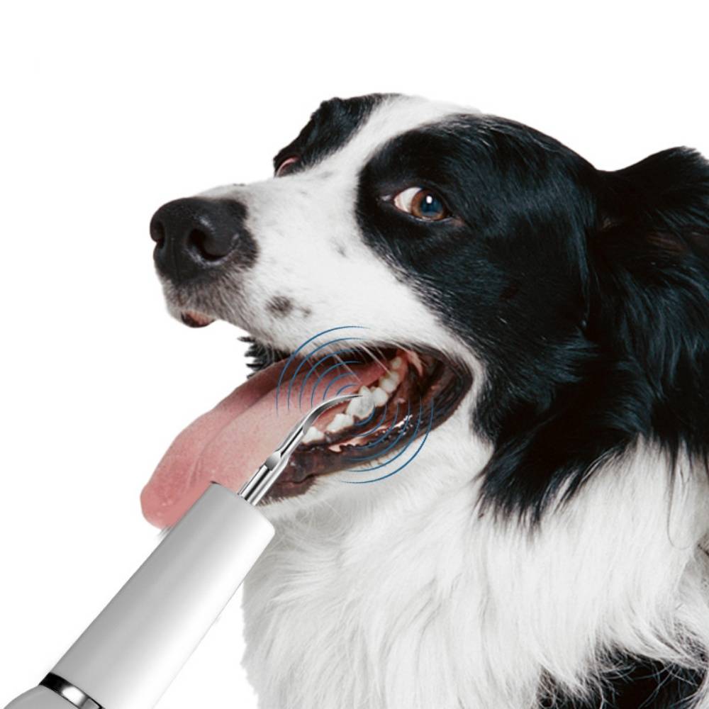 IntiMeg - Nettoyant pour dents de chien IntiMeg - Image 4