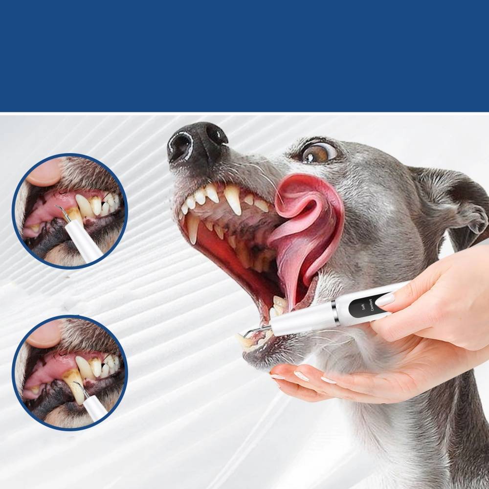 IntiMeg - Nettoyant pour dents de chien IntiMeg - Image 3