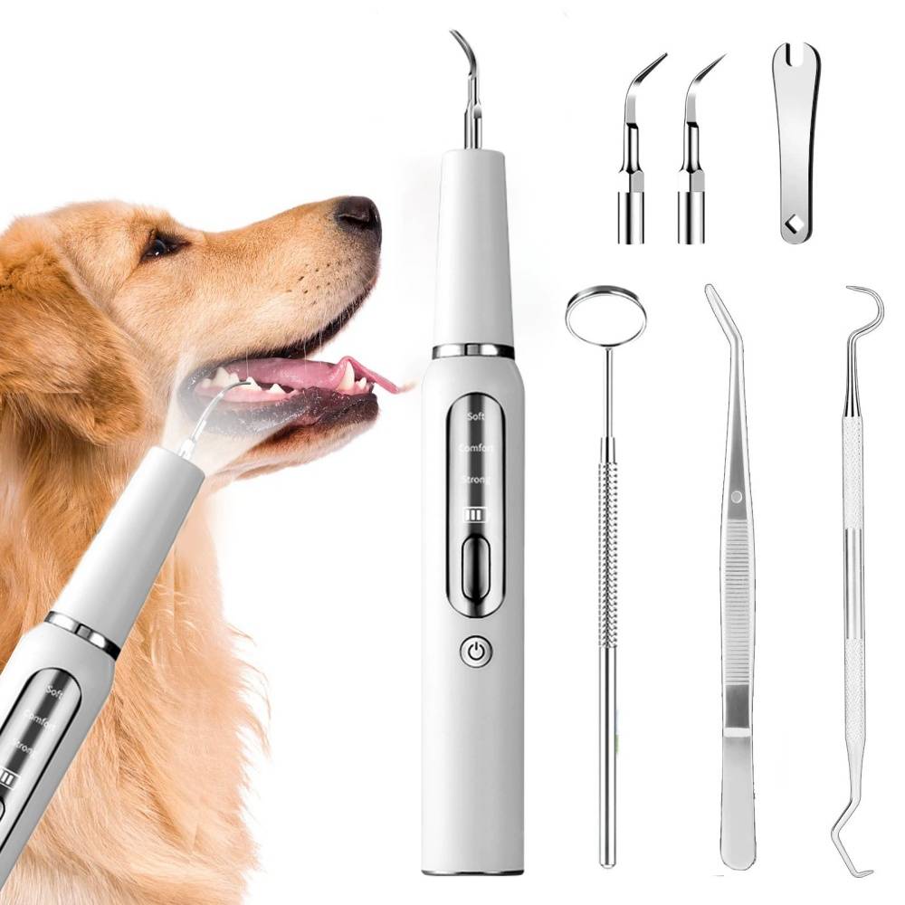 IntiMeg - Nettoyant pour dents de chien IntiMeg - Image 1
