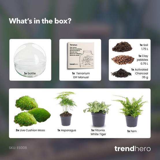 Terrarium à composer boule en verre recyclé - Ø30-H30cm - sans outils - Fern White - Terrarium DIY - Image 3