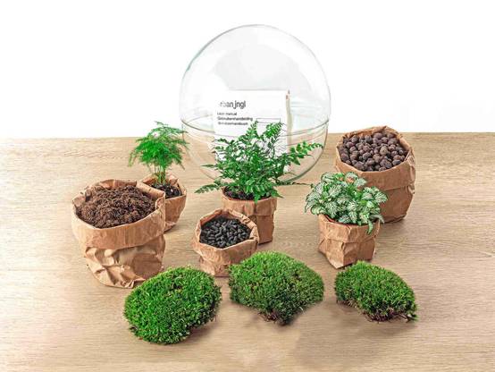 Terrarium à composer boule en verre recyclé - Ø30-H30cm - sans outils - Fern White - Terrarium DIY - Image 4