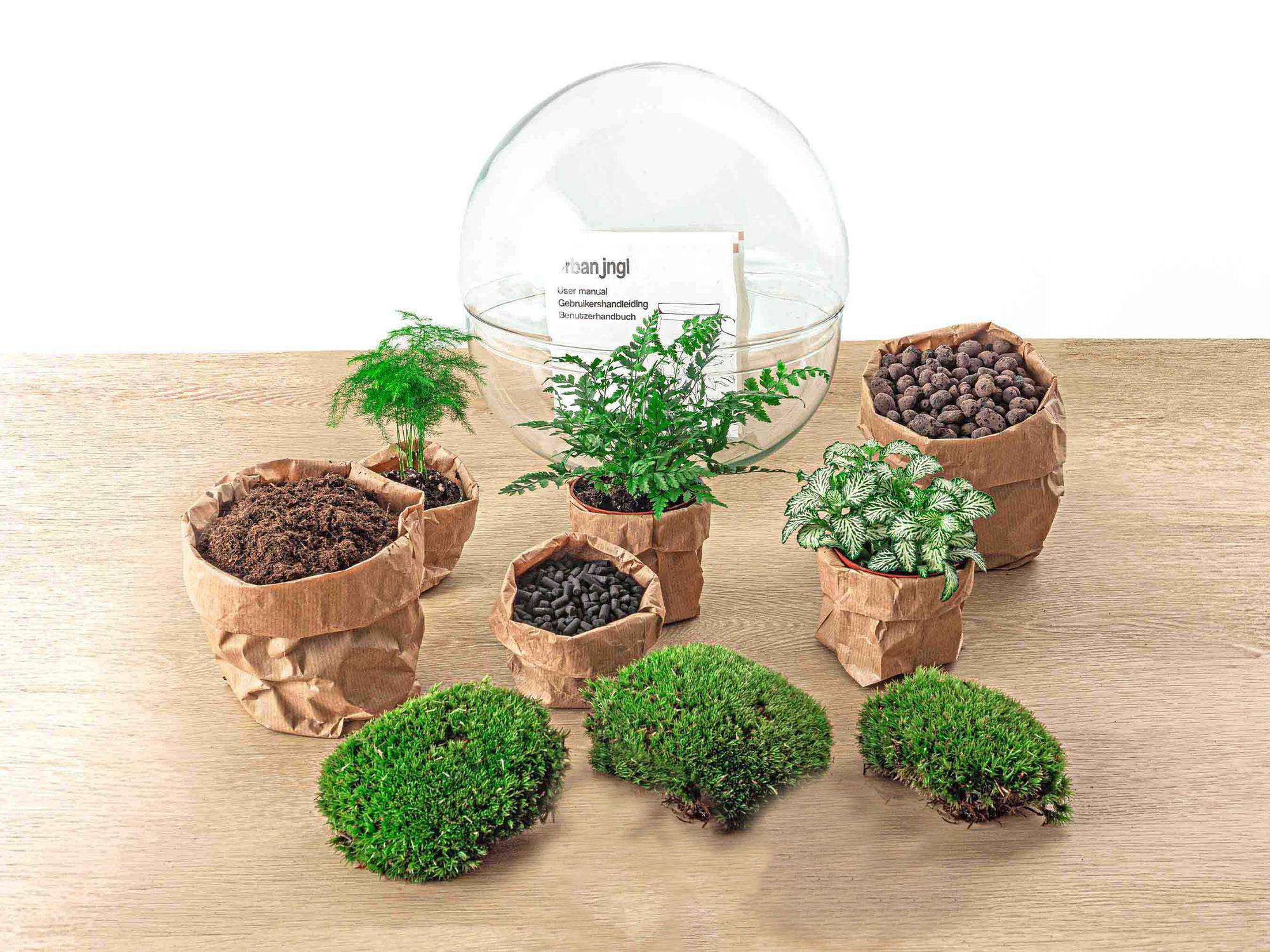 Terrarium à composer boule en verre recyclé - Ø30-H30cm - sans outils - Fern White - Terrarium DIY - Image 4