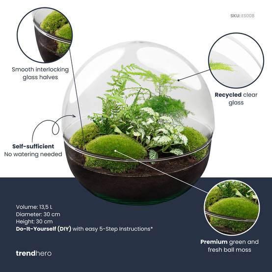 Terrarium à composer boule en verre recyclé - Ø30-H30cm - sans outils - Fern White - Terrarium DIY - Image 2