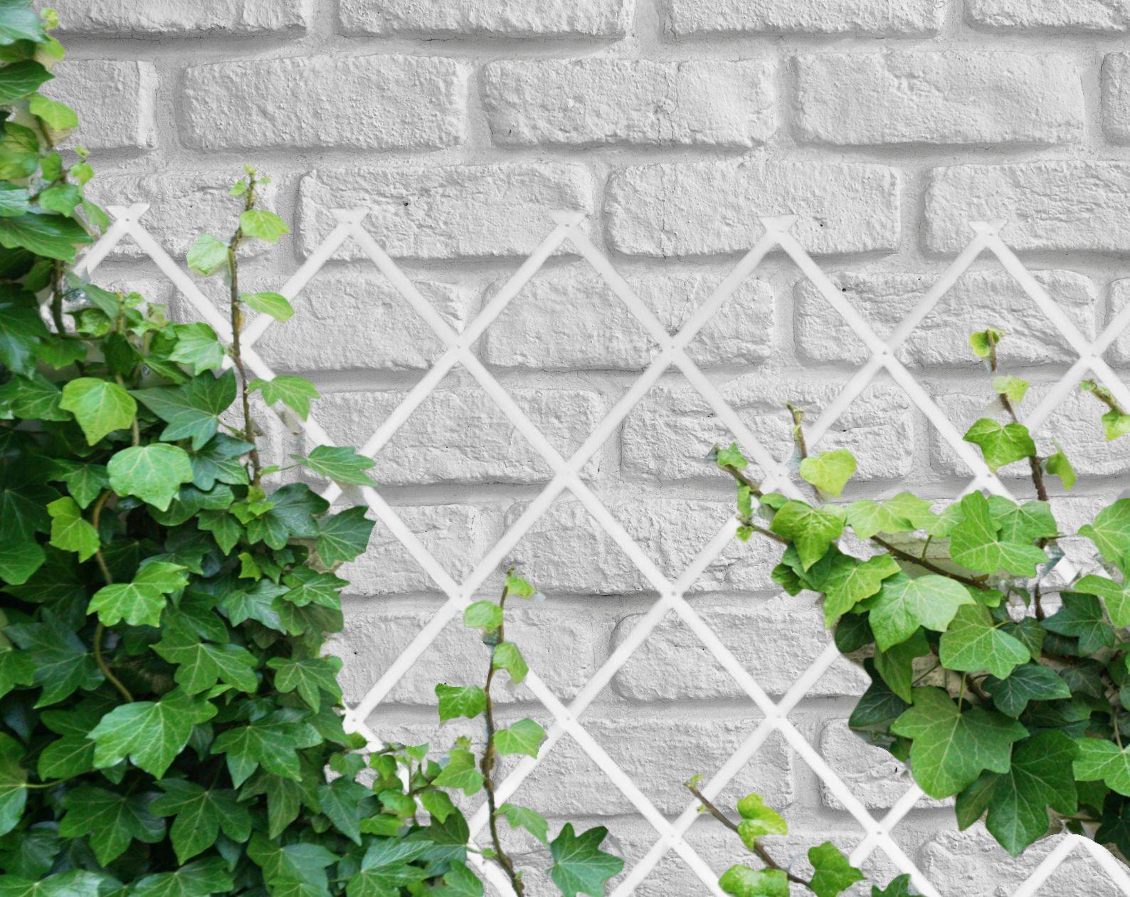 Treillis Bois| Blanc| 100% Bois Pin| 0,5X1,5M| Gardien Des Plantes| Résistant| Decoration Jardin - Image 9