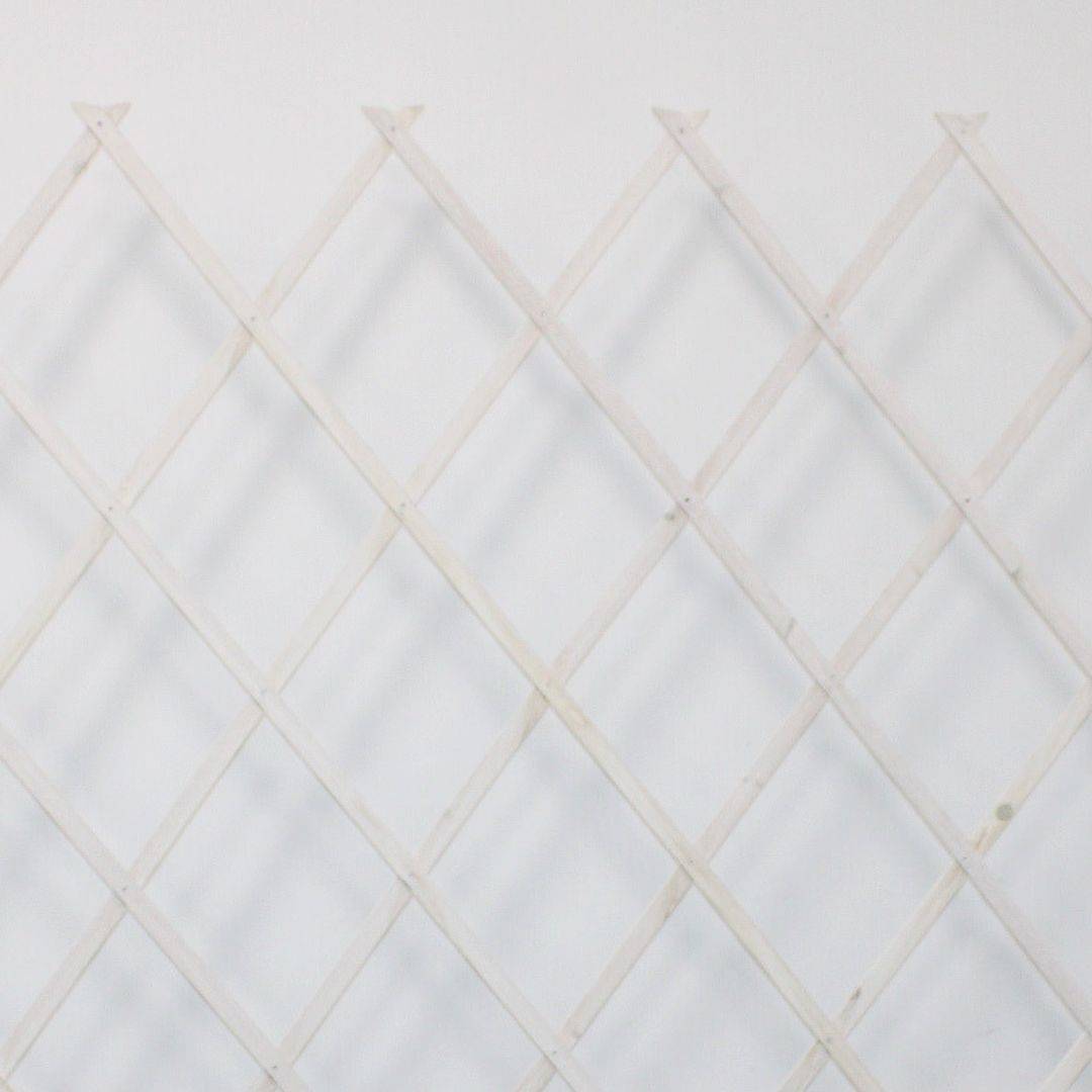 Treillis Bois| Blanc| 100% Bois Pin| 0,5X1,5M| Gardien Des Plantes| Résistant| Decoration Jardin - Image 1