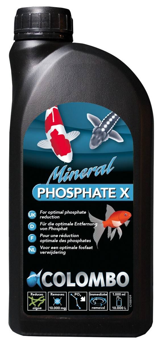 Produit bassin réducteur de phosphates – Prévention durable des algues