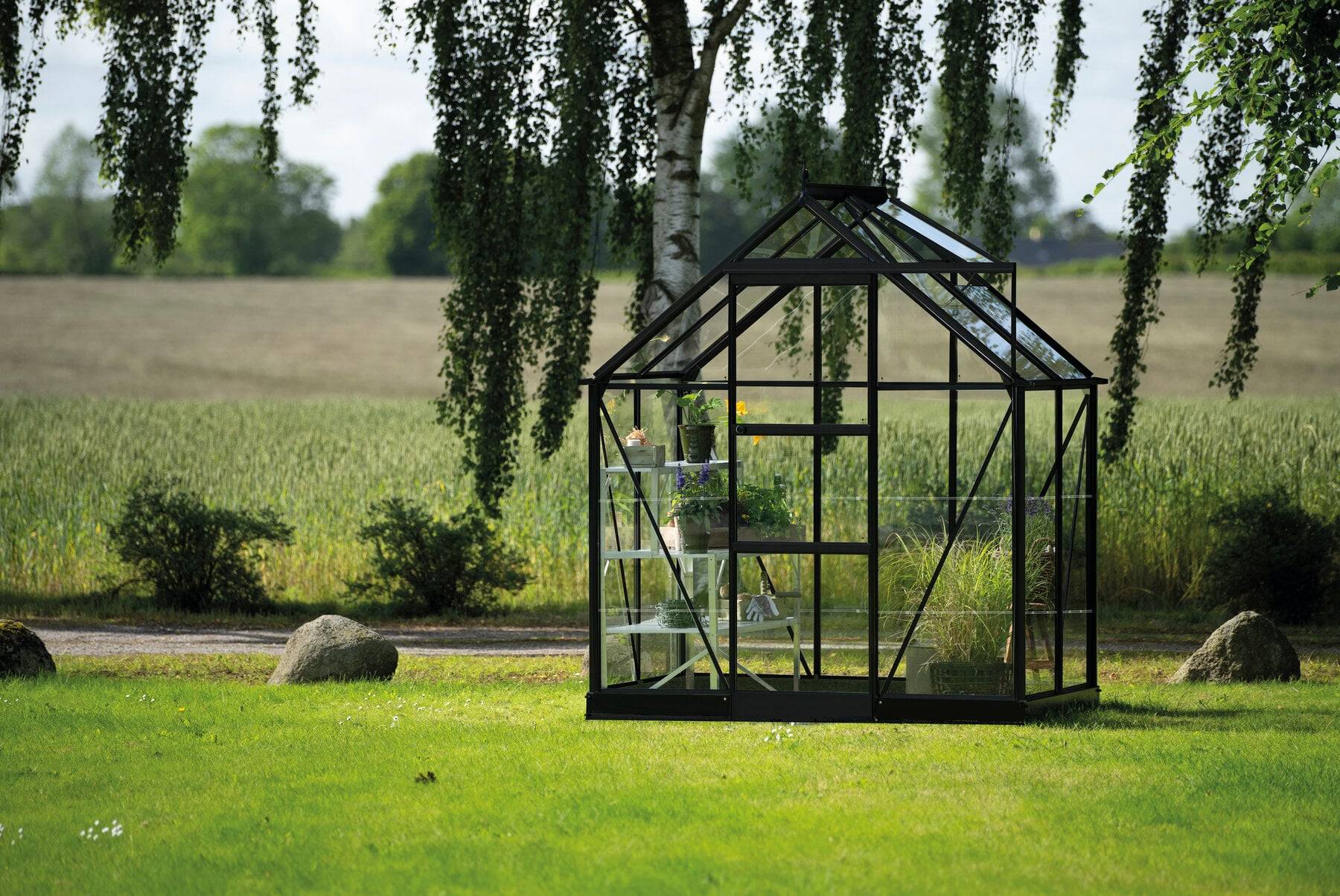 Halls - Serre en verre horticole 2,5 m² ICON 6, noir - Halls - Image 1