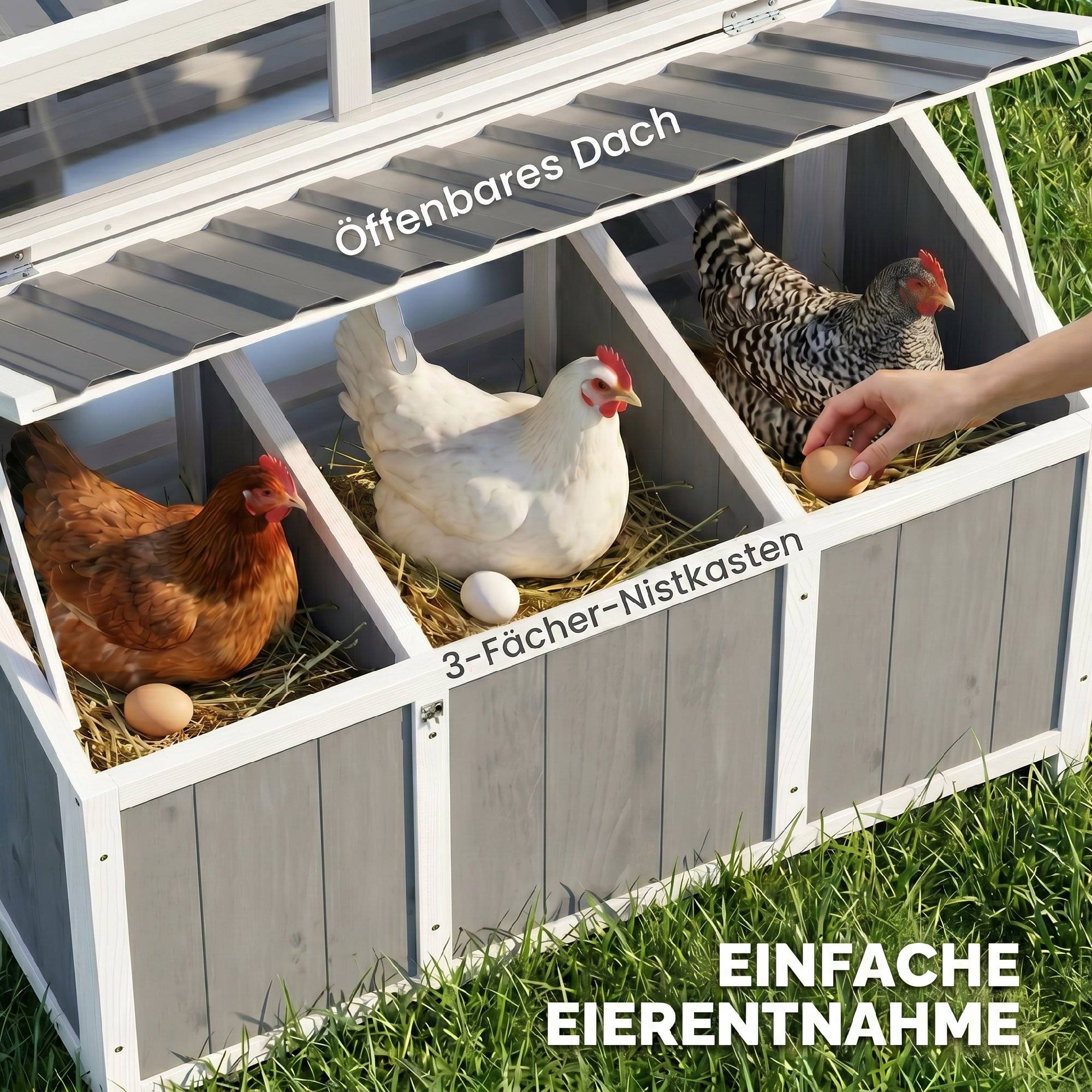 Sans Marque - Poulailler bois, porte verrouillable, nichoir, toit PET étanche, 3-4 poules, 145x90x92 cm, Gris - Image 9