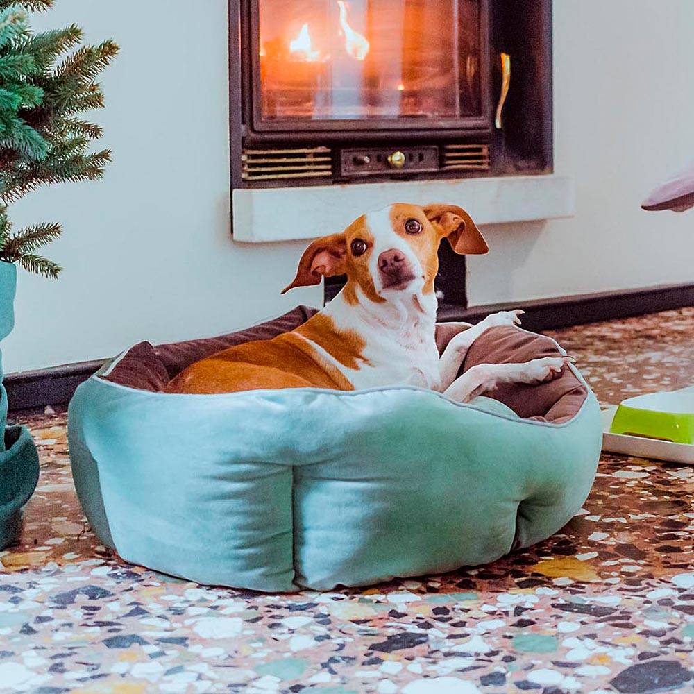 Ferplast - Ferplast Divan pour chats et chiens QUEEN 60 con coussin, couchage rembourré pour animaux, double-face, velours doux, lavable, 60x46x20, rose - Image 3