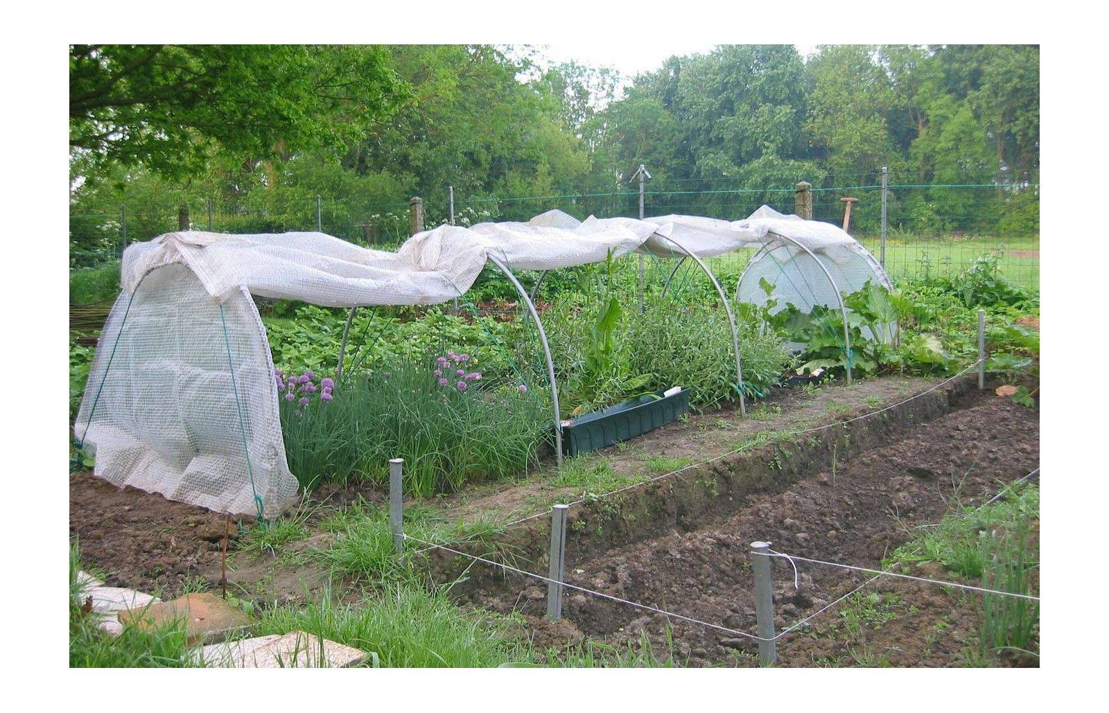 Serre de jardin tunnel de forçage 7,5m de long - serre à semis - LES SERRES TONNEAU - Image 8