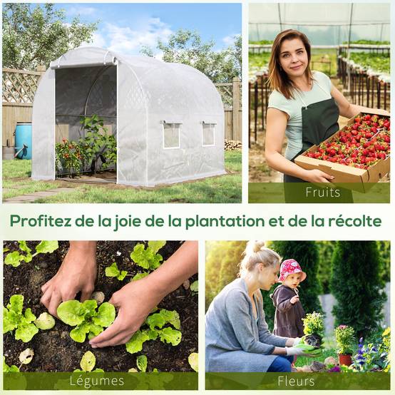 Serre de Jardin Tunnel 6m² Acier galvanisé renforcé 4 fenêtres pour potager 3x2x1,9m Blanc - ComfortXL Outdoor Living - Image 9
