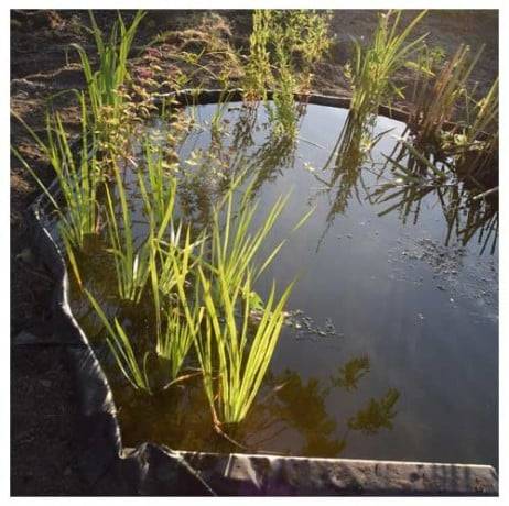 Bordure pour jardin et bassin en rouleau, Long 10 m - Image 5