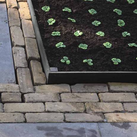 Bordure pour jardin et bassin en rouleau, Long 10 m - Image 4