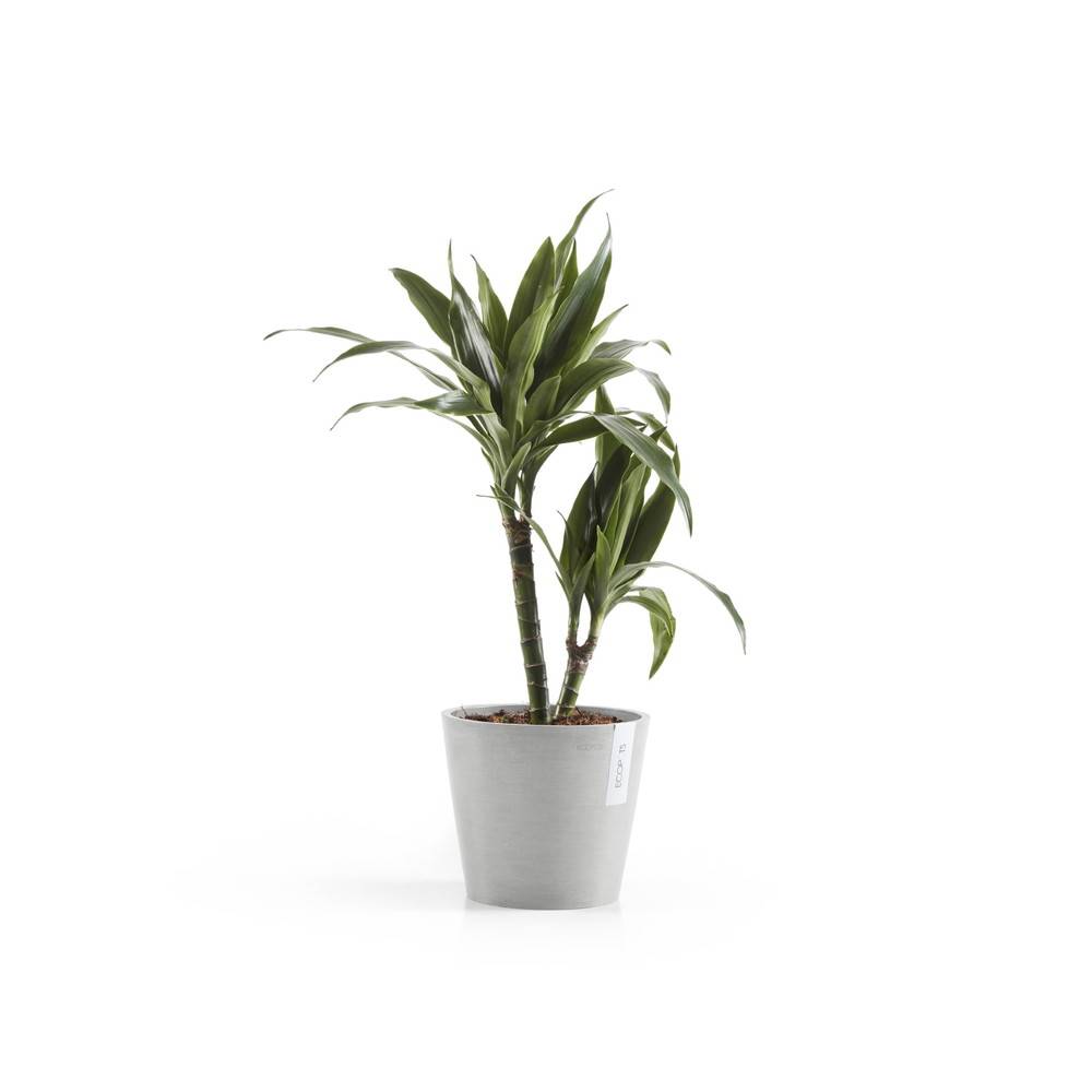 Ecopots - Pot Rond Amsterdam 20 Blanc Gris + réservoir d'eau - Ø 20 x H. 17,5 cm - 4 L ECOPOTS - Image 2