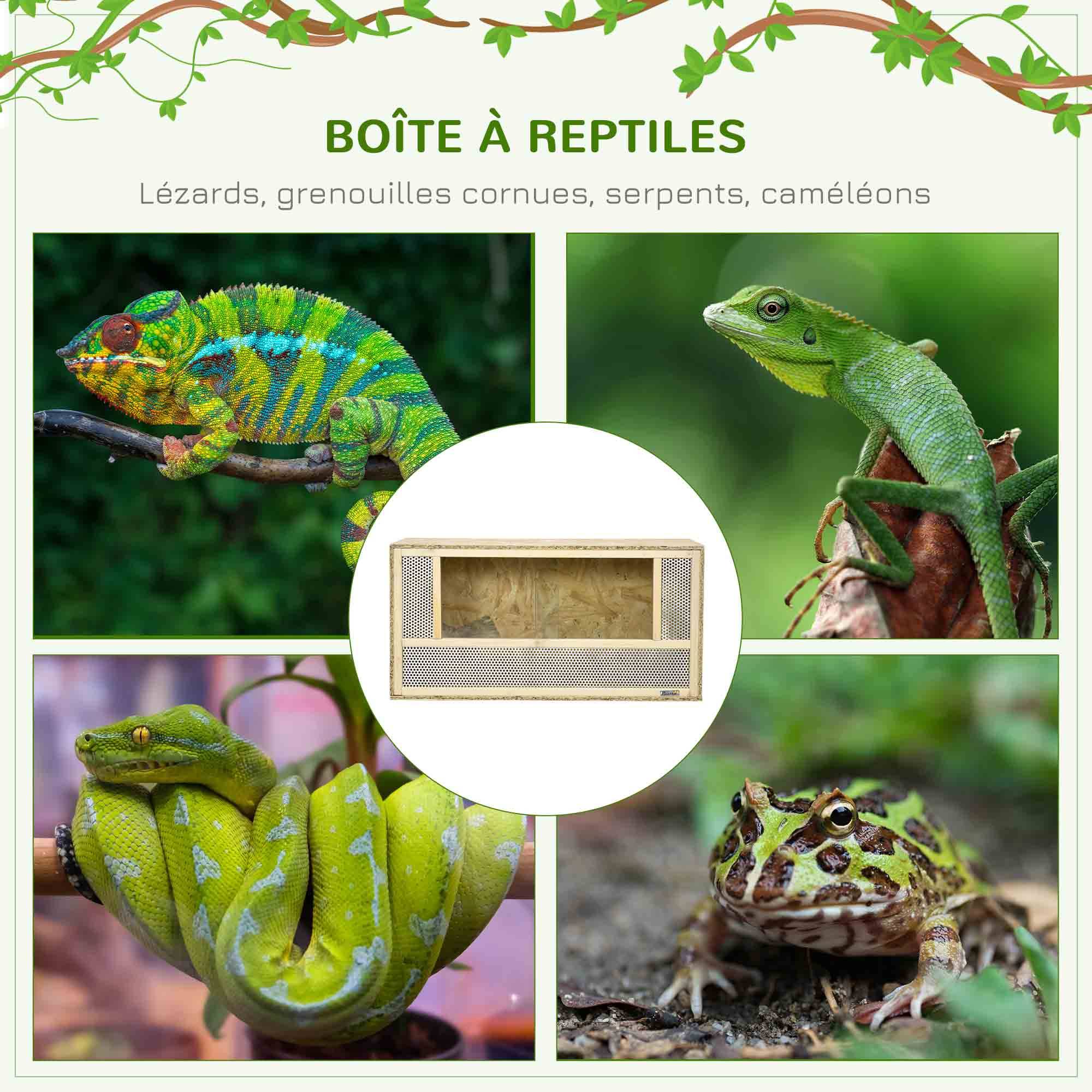 Terrarium en bois OSB pour reptiles et batraciens avec porte coulissante en verre - 80 x 40 x 40 cm naturel - Image 6