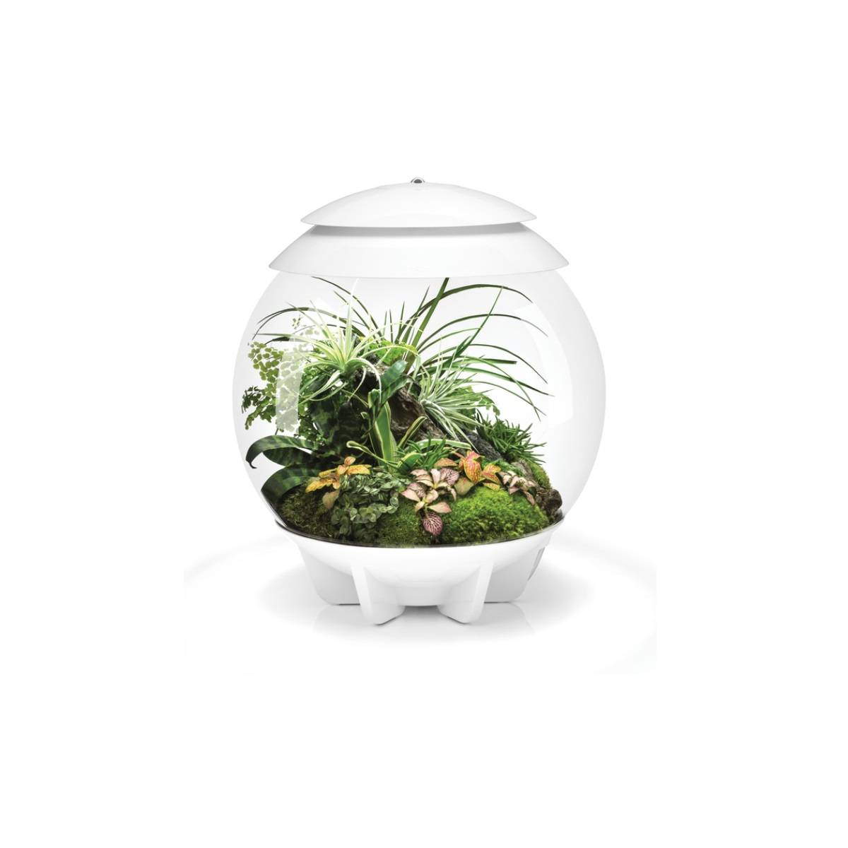 Oase - Terrarium automatisé 30l blanc AIR30WHITE Oase - Image 1