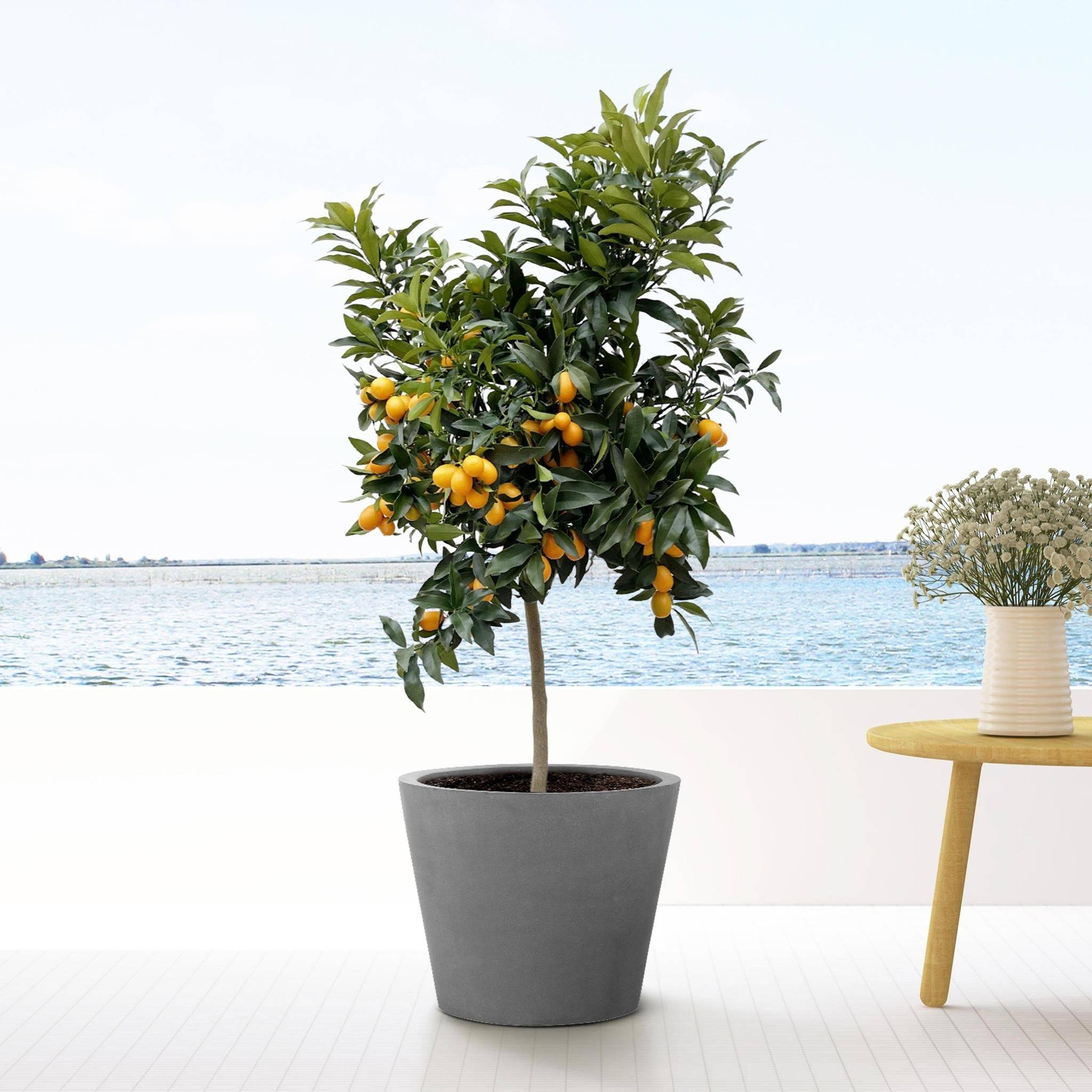 Pot Bucket Gris 60 cm- La Green Touch - Image 2