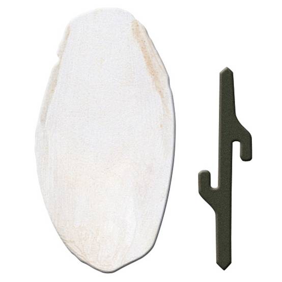 Ferplast - Accessoires pour cages à oiseaux Ferplast Os de seiche FPI 4330 canaris - Image 1