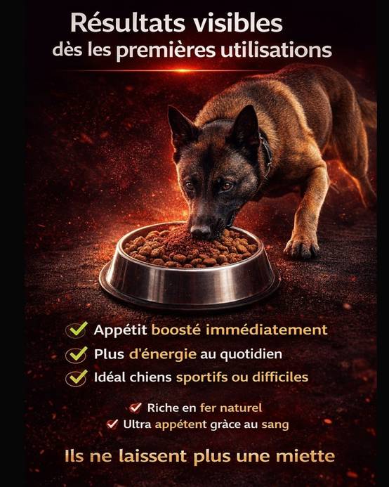 France Croquettes - France Croquettes Complément alimentaire pour chien BloodSport - 500 g - Image 5