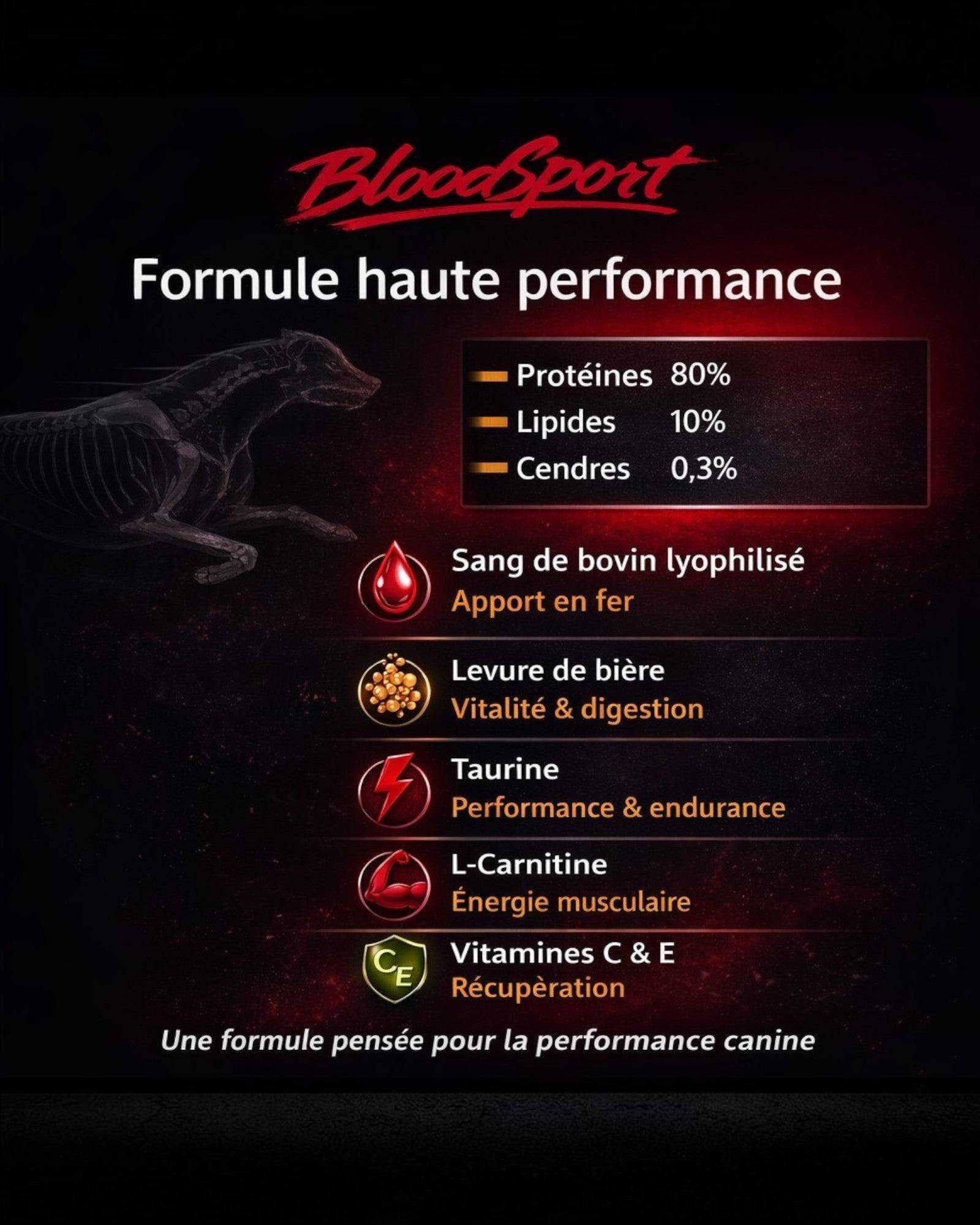 France Croquettes - France Croquettes Complément alimentaire pour chien BloodSport - 500 g - Image 2