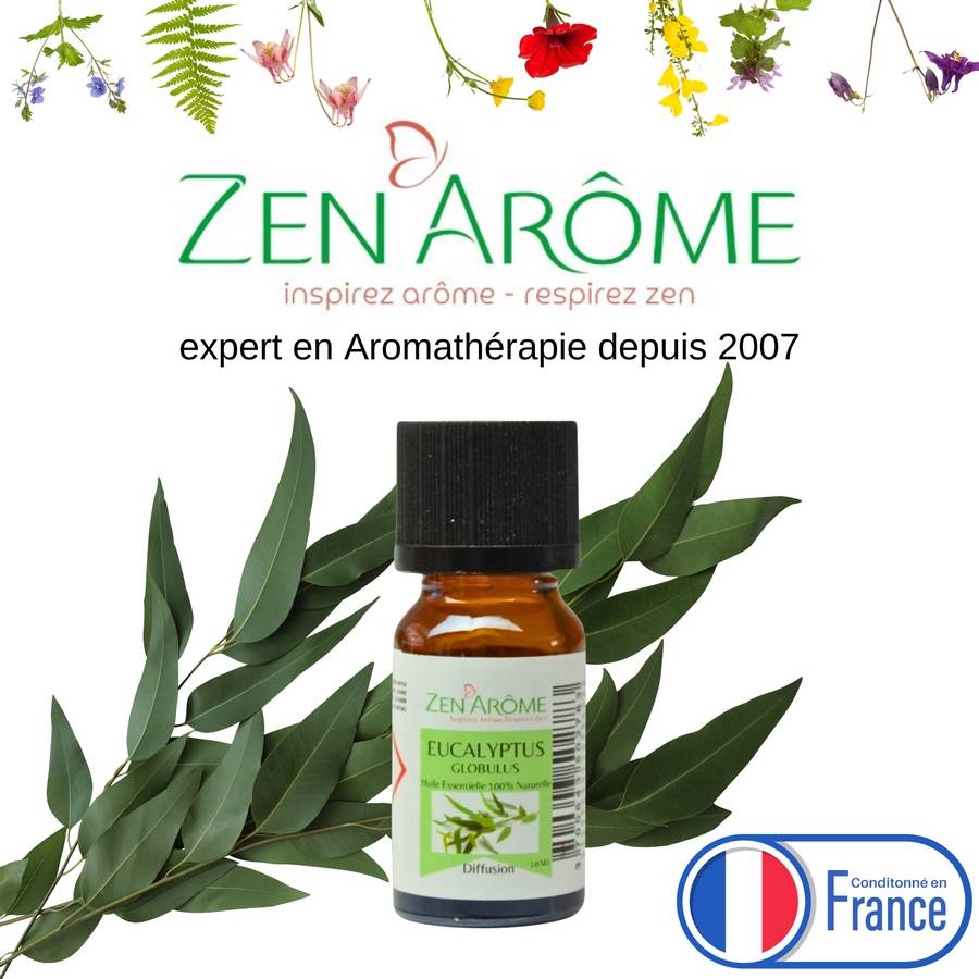 Huile Essentielle d'Eucalyptus – 100% Pure et Naturelle - Diffusion pour Aromathérapie – 10ml – Conditionné en France - Zen'Arôme