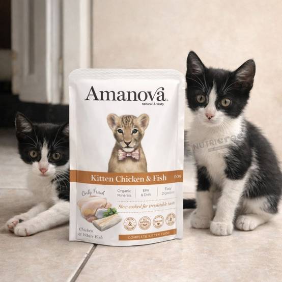 Pâtée chaton sans céréales poulet Amanova 85g 85 g - Image 3