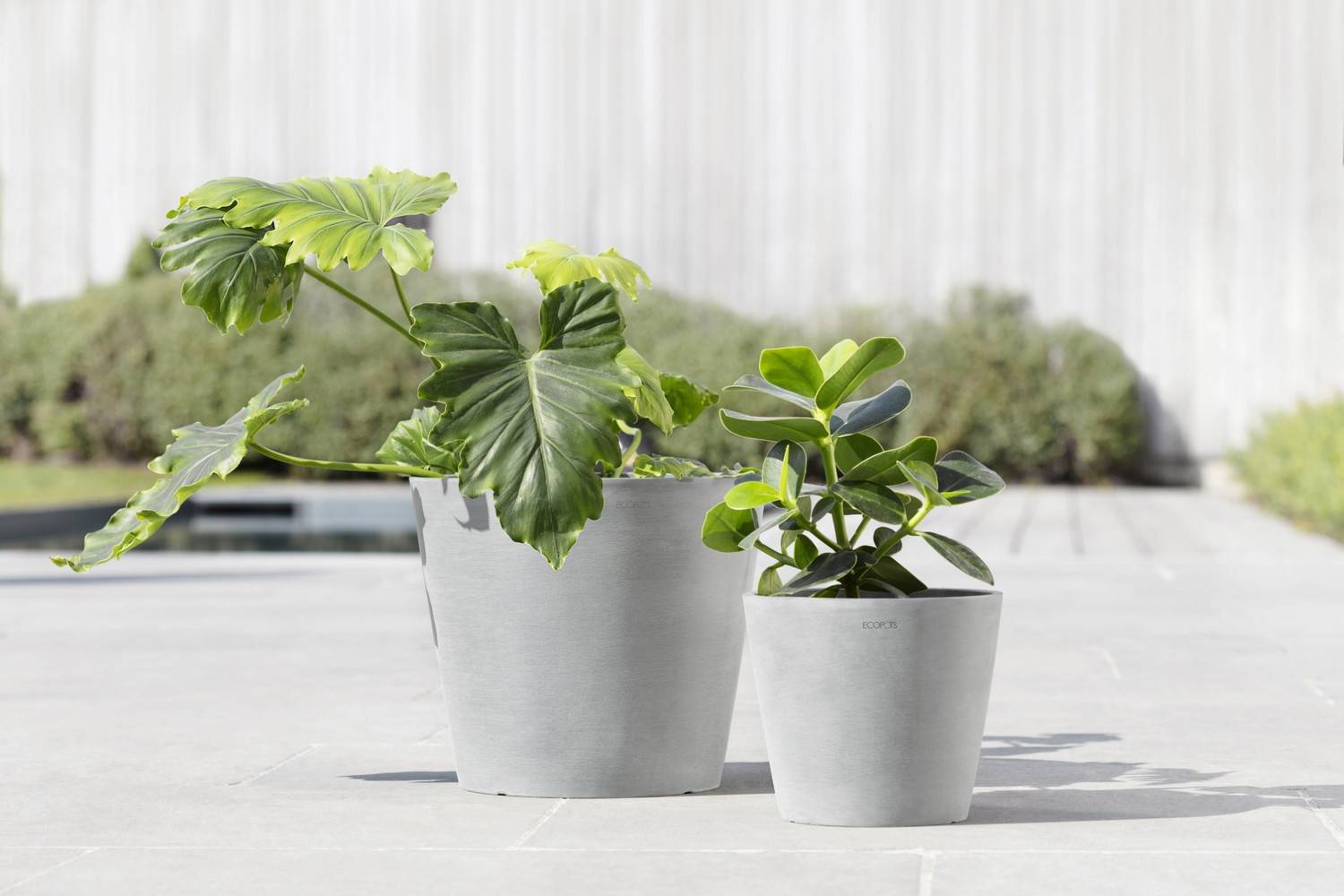 Ecopots - Pot Rond Amsterdam 30 Blanc Gris + réservoir d'eau - Ø 30 x H. 26,3 cm - 12,8 L ECOPOTS - Image 5