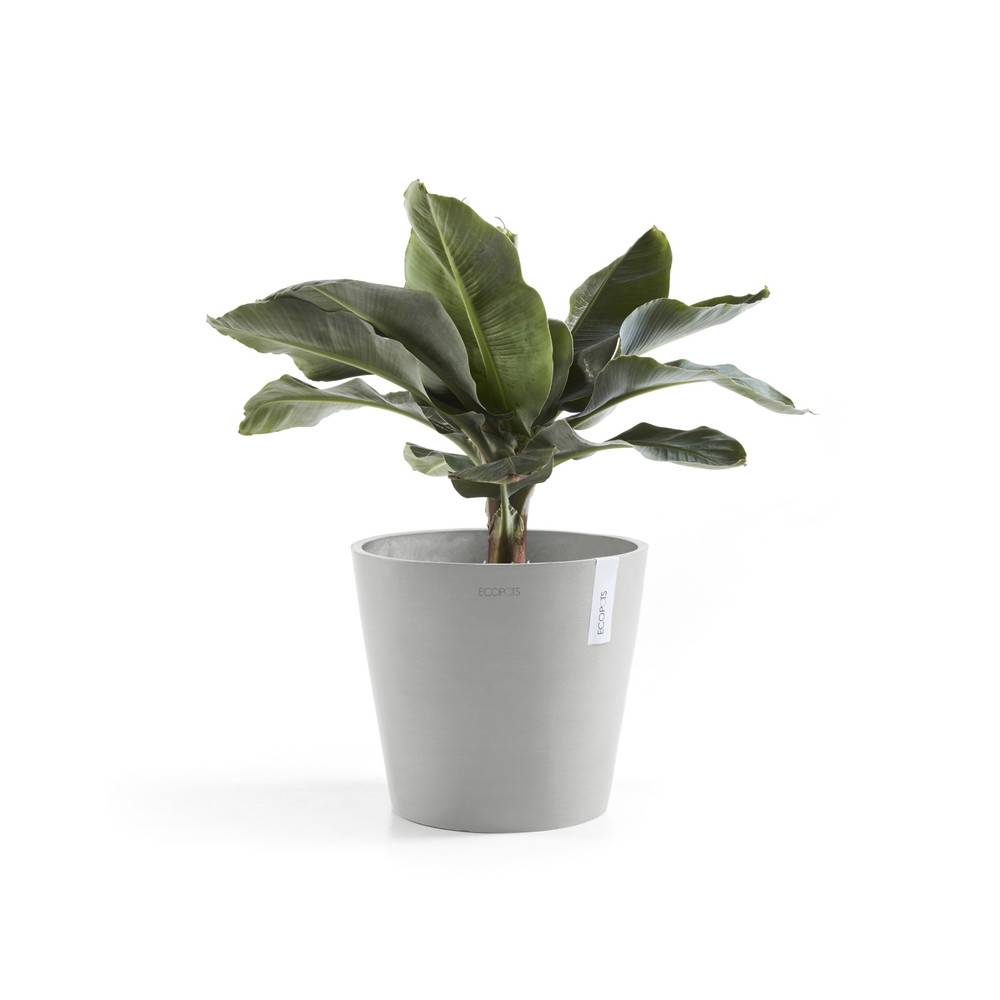 Ecopots - Pot Rond Amsterdam 30 Blanc Gris + réservoir d'eau - Ø 30 x H. 26,3 cm - 12,8 L ECOPOTS - Image 2