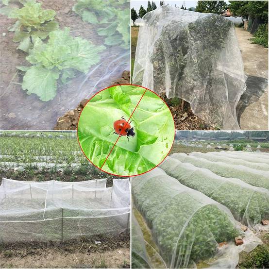 DtopbuyAge - Filet Anti-Insecte 3m x 10m - Maille Fine pour Potager, Jardin et Arbres Fruitiers - Protection Durable DtopbuyAge - Image 3