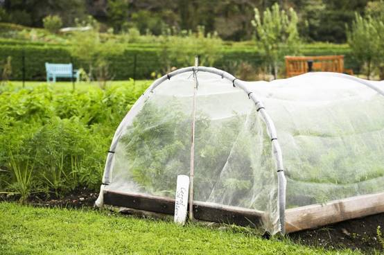 DtopbuyAge - Filet Anti-Insecte 3m x 10m - Maille Fine pour Potager, Jardin et Arbres Fruitiers - Protection Durable DtopbuyAge - Image 4